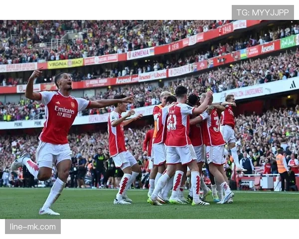 狼队新赛季前瞻：新援加盟能否助球队重返巅峰？