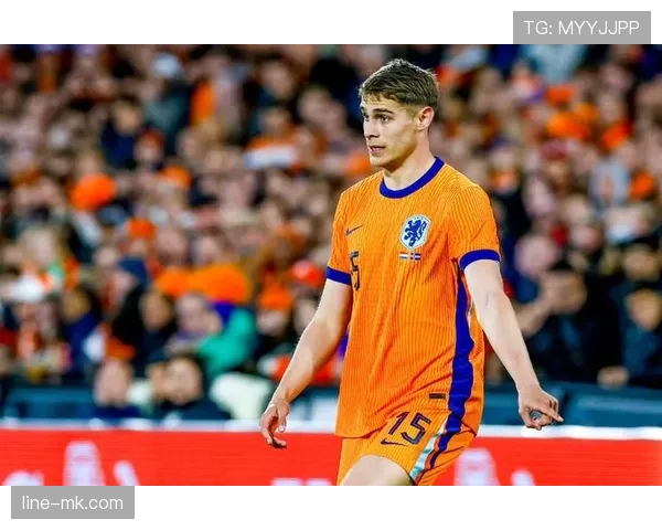 荷兰新星范德芬状态火热，助热刺强势崛起引足坛关注