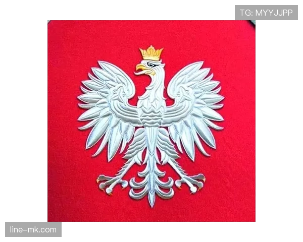 波兰历史黄金 波兰历史黄金